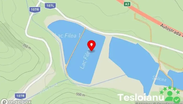 hartă a Lac Ciurila Filea2 Lac de pescuit în Filea de Jos