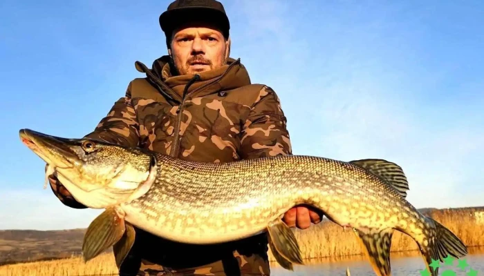 Lac de Pescuit Sarmasag - Club Nautic Denis - Sărmășag