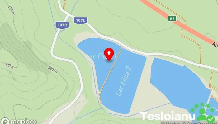 hartă a Lac Filea 1 Zonă de pescuit în Comuna Ciurila