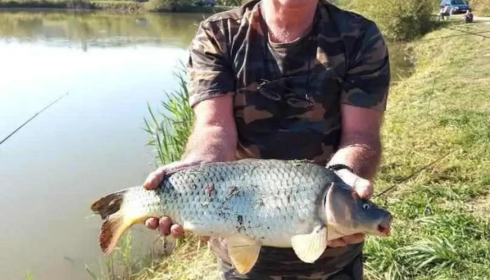 Lac Mărișelu - Mărişelu