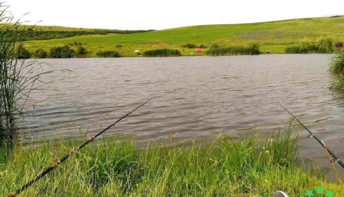 Lac Pescuit Langa Cojocna -  Catalog - Romania