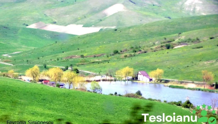 Lac Pescuit Langa Cojocna -  Munte - Romania