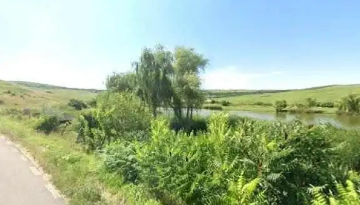Lac Pescuit Langa Cojocna -  Street View Si 360deg - Romania