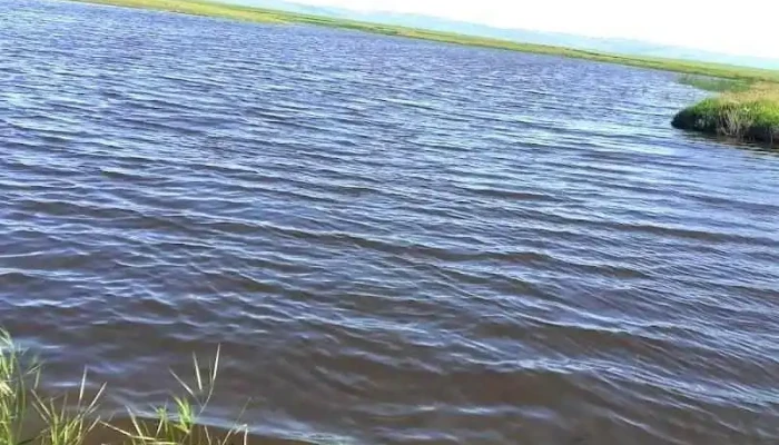 Lac Salbatic - Comuna Fulga