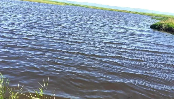 Lac Salbatic -  Videoclipuri - Comuna Fulga