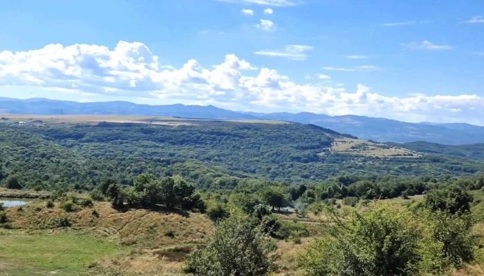Lac Salicea -  Comentarii - Comuna Ciurila
