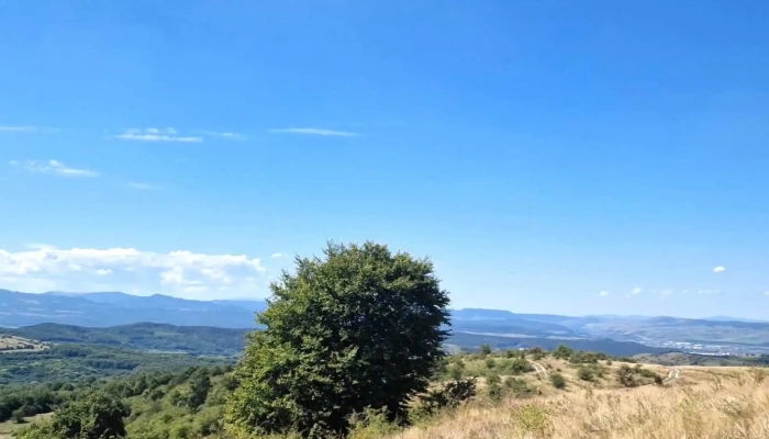 Lac Salicea -  Cum Să Ajungi Acolo - Comuna Ciurila