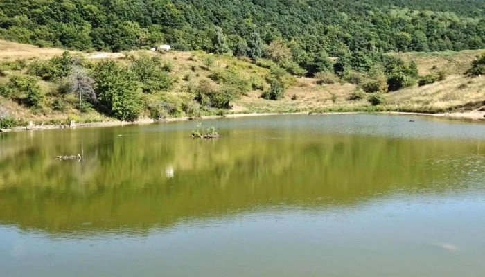 Lac Salicea -  Locație - Comuna Ciurila