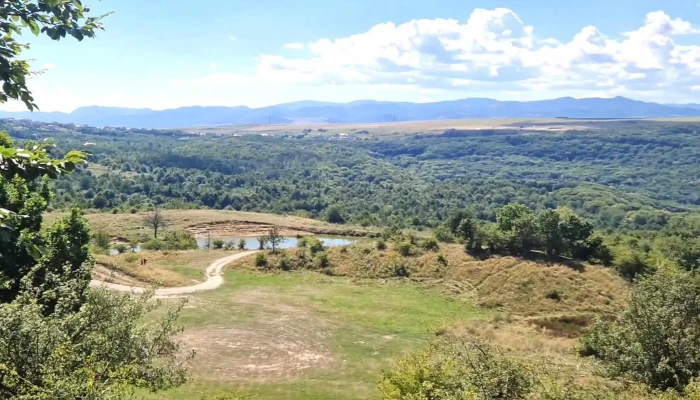 Lac Salicea -  Promoție - Comuna Ciurila