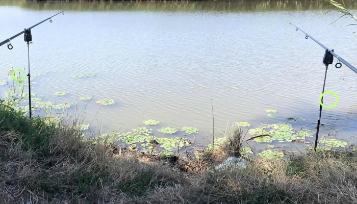 Lac Siliste -  Comentarii - Suseni