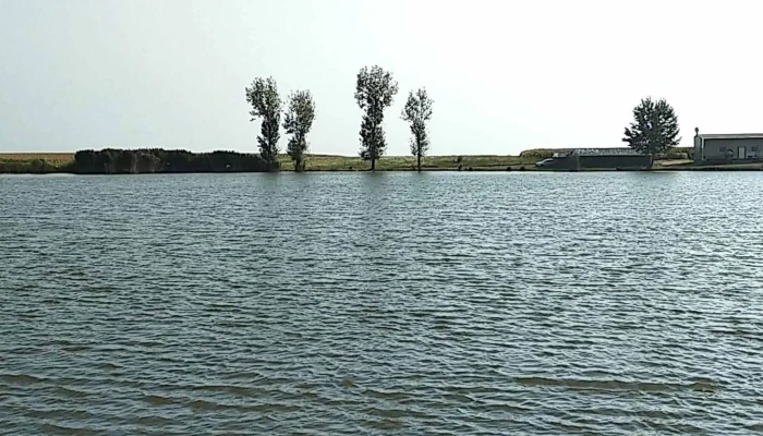 Lac Teiu Mavexim -  Adresă - Teiu