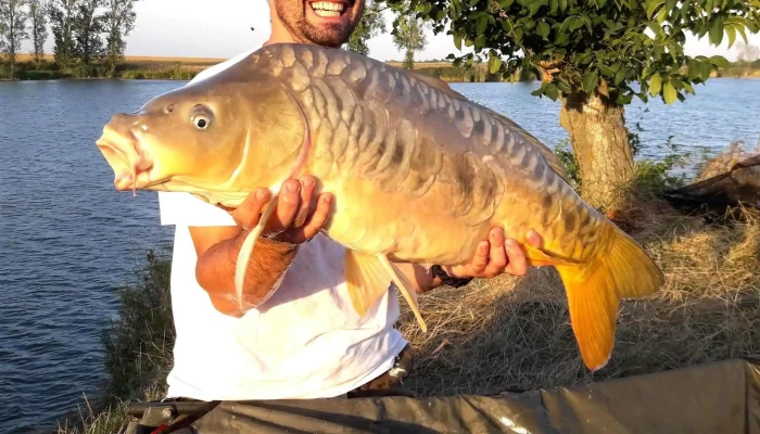 Lac Teiu Mavexim -  Locație - Teiu