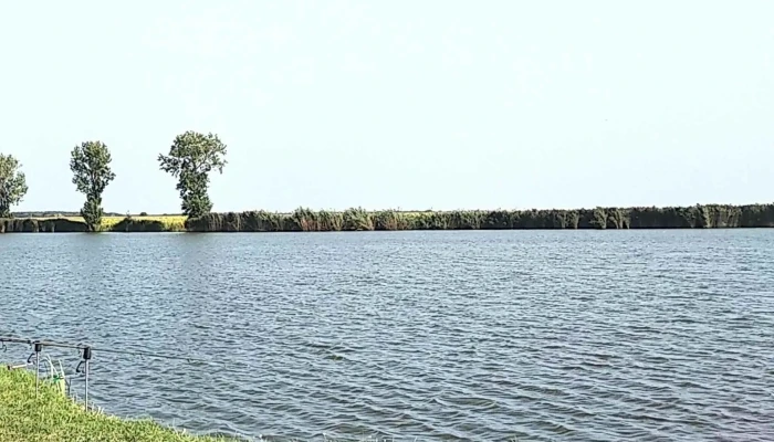 Lac Teiu Mavexim -  Recenzii - Teiu
