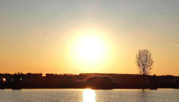 Lac Teiu Mavexim -  Scor - Teiu