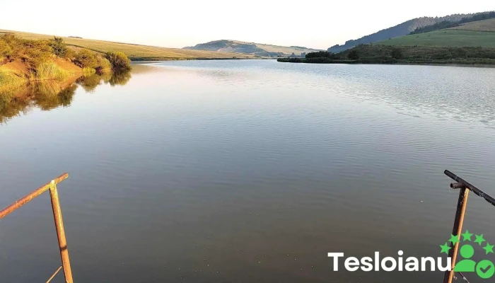 Lac Toldal -  Munte - Dj153b