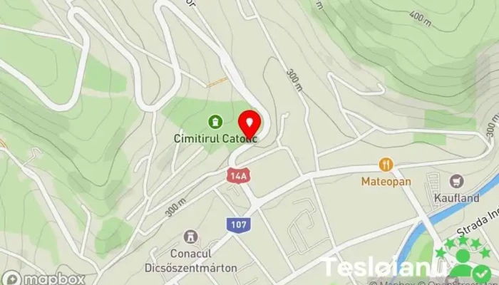 hartă a LĂCĂTUŞ ANICA  în Târnăveni