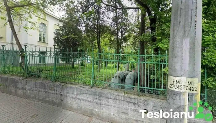 Lacatusu Stefan - Iași