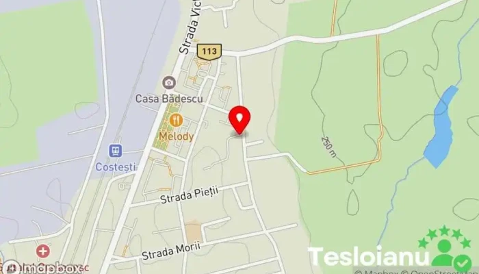 hartă a LACTAG S.A. Furnizor de produse lactate în Costești
