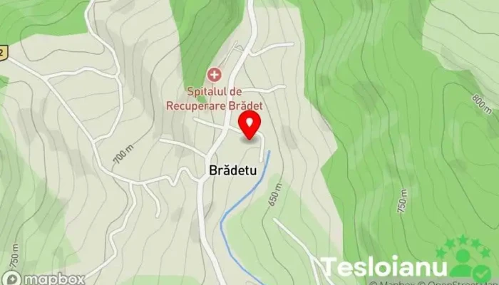 hartă a Lactate Bradet Producător în Brădetu