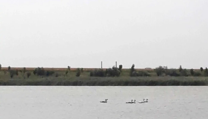 Lacul Amara - Romania