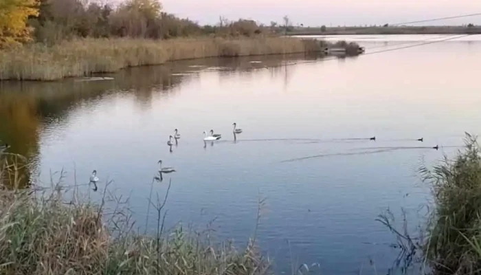 Lacul Amara -  Videoclipuri - Romania