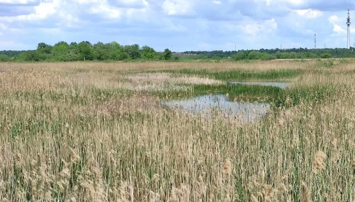 Lacul Bacau Ii -  Cum Să Ajungi Acolo - Bacău