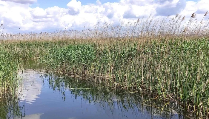 Lacul Bacau Ii -  Prețuri - Bacău
