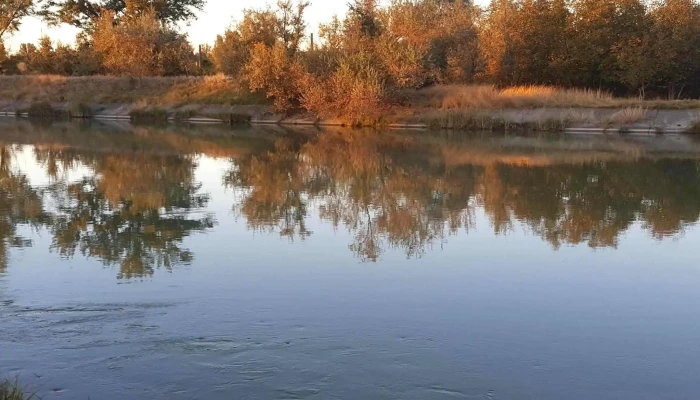 Lacul Bacau Ii -  Program - Bacău