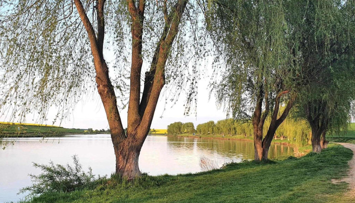 Lacul Belciugatele -  Aproape De Mine - Romania