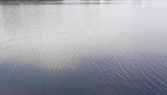 Lacul Belciugatele -  Cum Să Ajungi Acolo - Romania