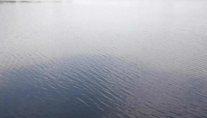 Lacul Belciugatele -  Program - Romania