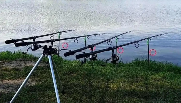 Lacul Belciugatele -  Videoclipuri - Romania