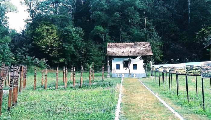 Lacul Bezid -  Catalog - Sângeorgiu De Pădure