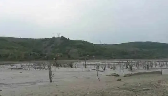Lacul Bezid -  Cele Mai Recente - Sângeorgiu De Pădure
