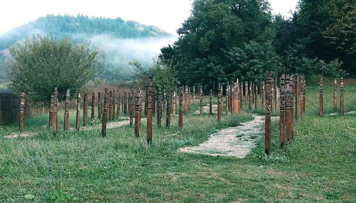 Lacul Bezid -  Cum Să Ajungi Acolo - Sângeorgiu De Pădure