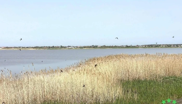 Lacul Bistretu Adresă - Vacio