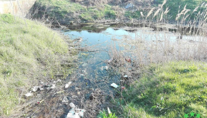 Lacul Bistretu Fotografii - Vacio