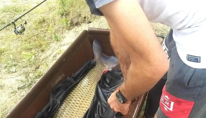 Lacul Bors -  Aproape De Mine - Borș