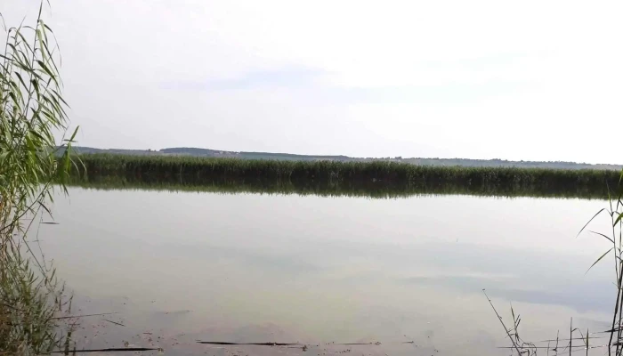 Lacul Bucecea -  Număr - Romania
