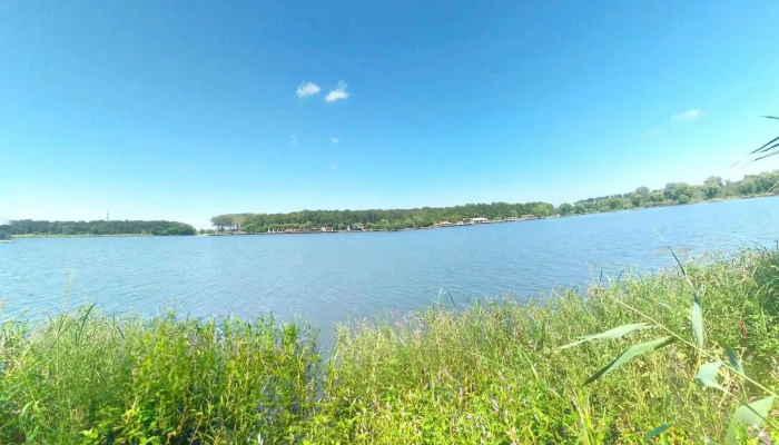 Lacul Cernica -  Street View Si 360deg - Romania