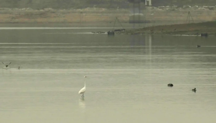 Lacul Cetariuvalea Viteilor Cum Să Ajungi Acolo - Lacul Tautelec 1