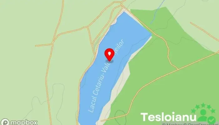 hartă a Lacul Cetariu(Valea Vițeilor) Centru de recreere în Lacul Tautelec 1