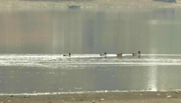 Lacul Cetariuvalea Viteilor Telefon - Lacul Tautelec 1