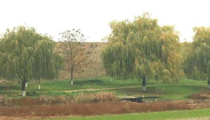 Lacul Cetariuvalea Viteilor Zonă - Lacul Tautelec 1