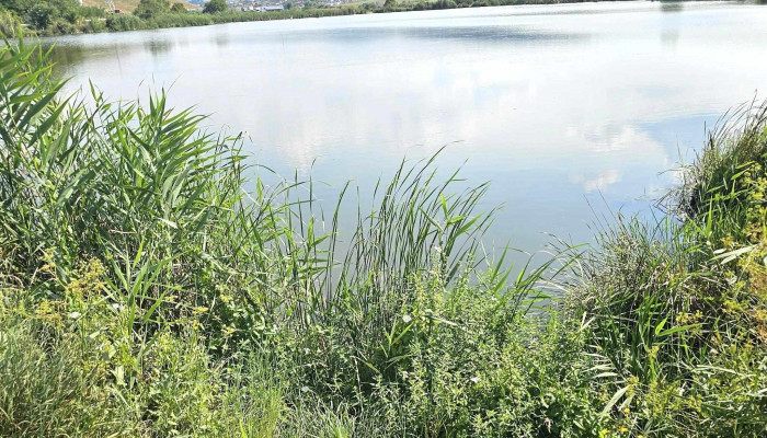 Lacul Chinteni -  Adresă - Chinteni