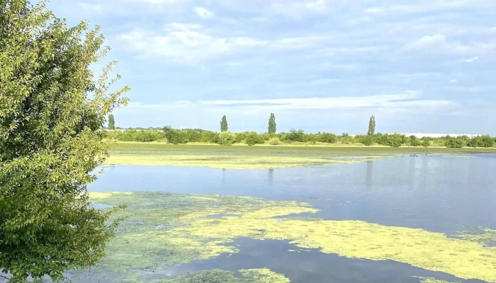 Lacul Chitila - Romania