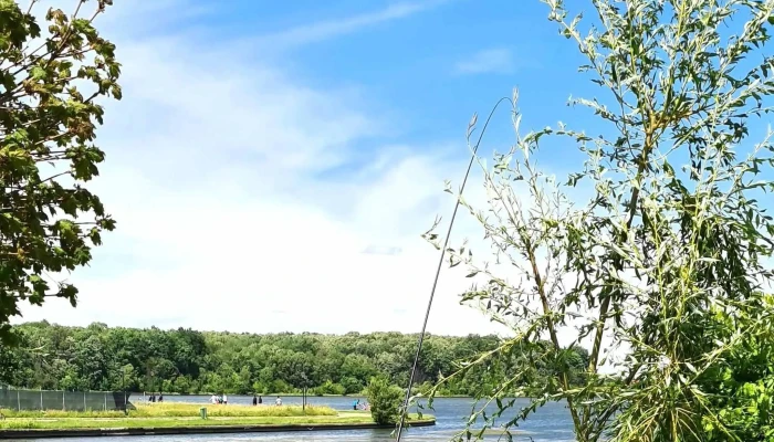 Lacul Chitila -  Telefon - Romania