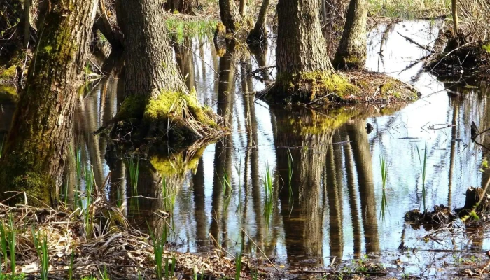 Lacul Cicos Promoție - Romania