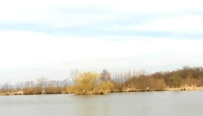 Lacul Coas Comentarii - Balta De La Coaș