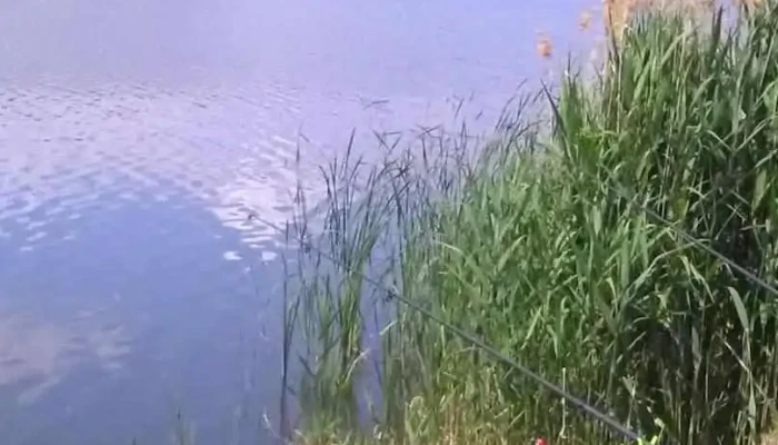 Lacul Cătina - Romania